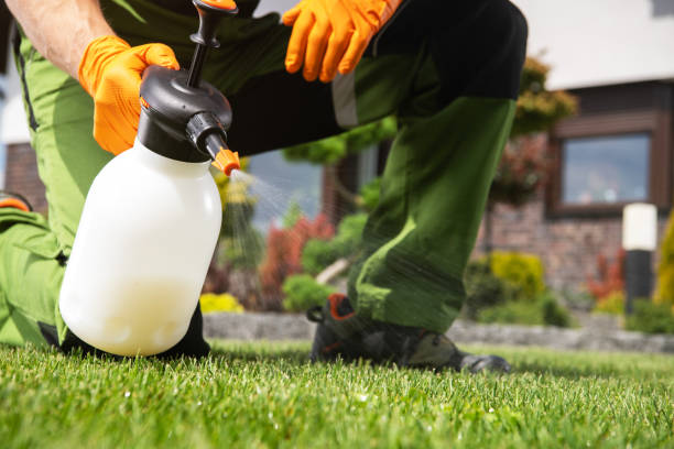 Best Pest Prevention Services  in Aurora, NE