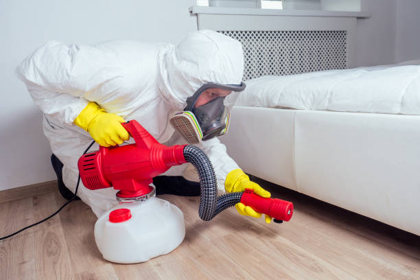 Best Affordable Pest Control Services  in Aurora, NE