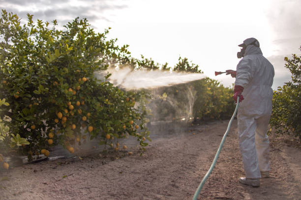 Best Insect Control  in Aurora, NE