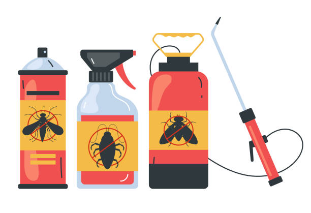 Wasp Removal Services in Aurora, NE