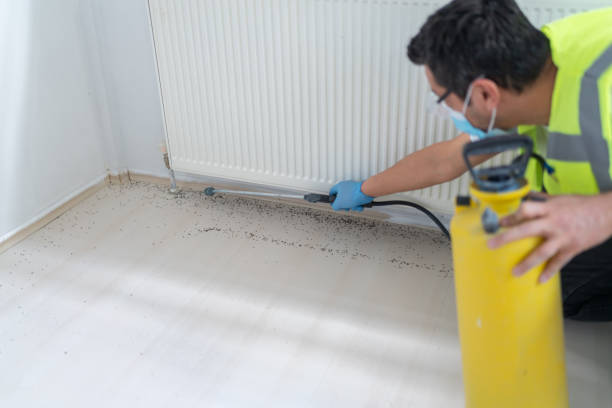 Best Ant Control Services  in Aurora, NE
