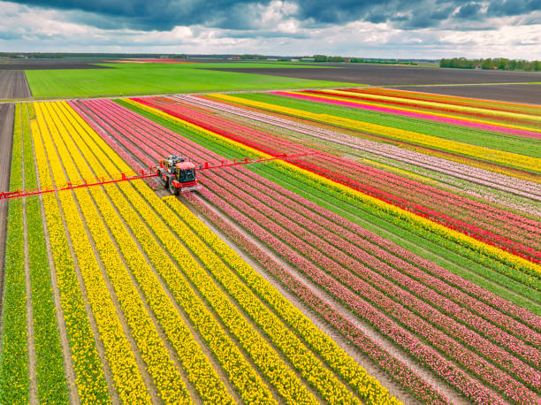 Reliable Aurora, NE Pest Control Solutions