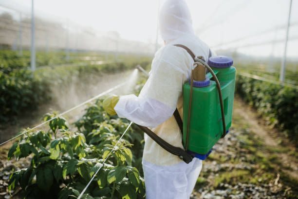 Best Best Pest Control Companies  in Aurora, NE